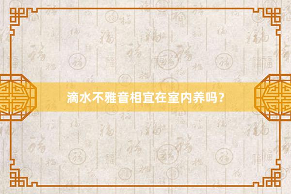 滴水不雅音相宜在室内养吗?